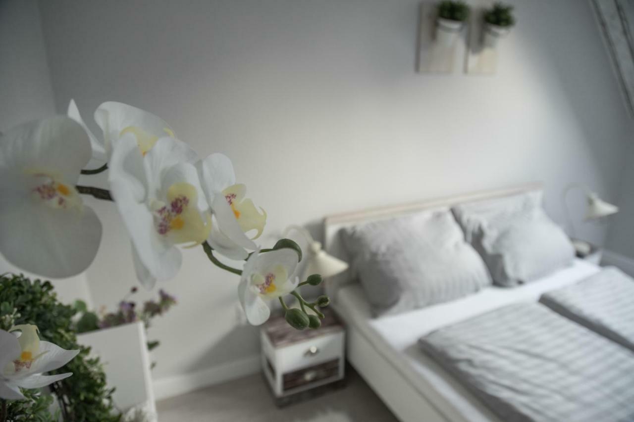 Farmhouse Apartman Lägenhet Eger Exteriör bild